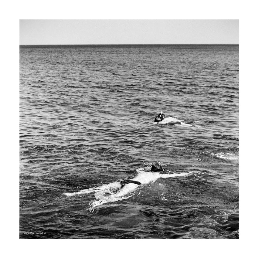 Schnorcheltaucher im Meer