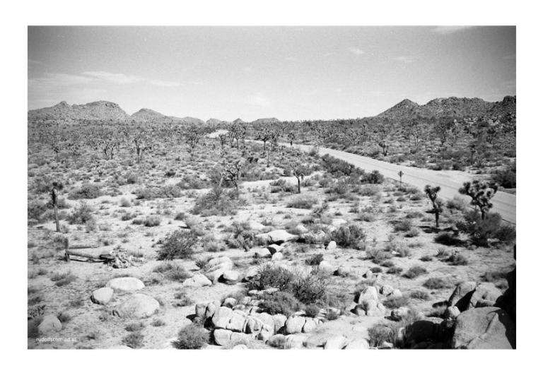 Joshua Tree National Park