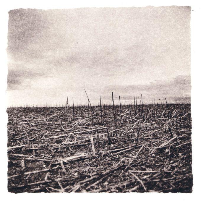 Rostiger Seufzer (13)